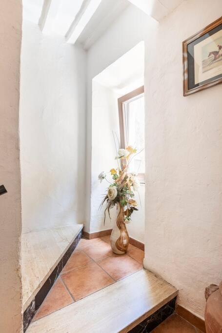 Casa Nel Corso Lägenhet Pitigliano Exteriör bild